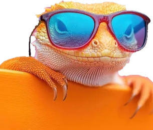 Lyzard OPS